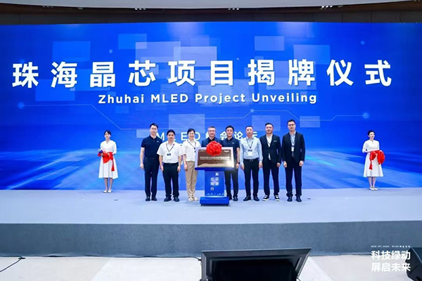 1725692924402347.jpg 5.jpg